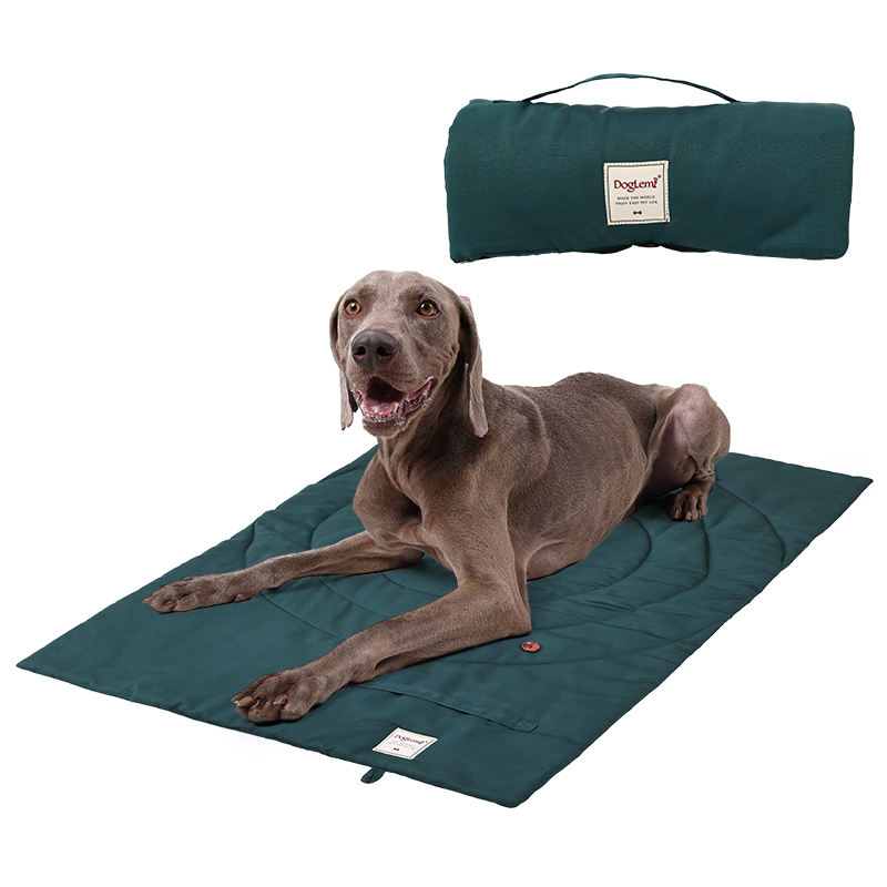 Outdoor Camping Dog Kennel - Polymères portables pliables pour animaux de