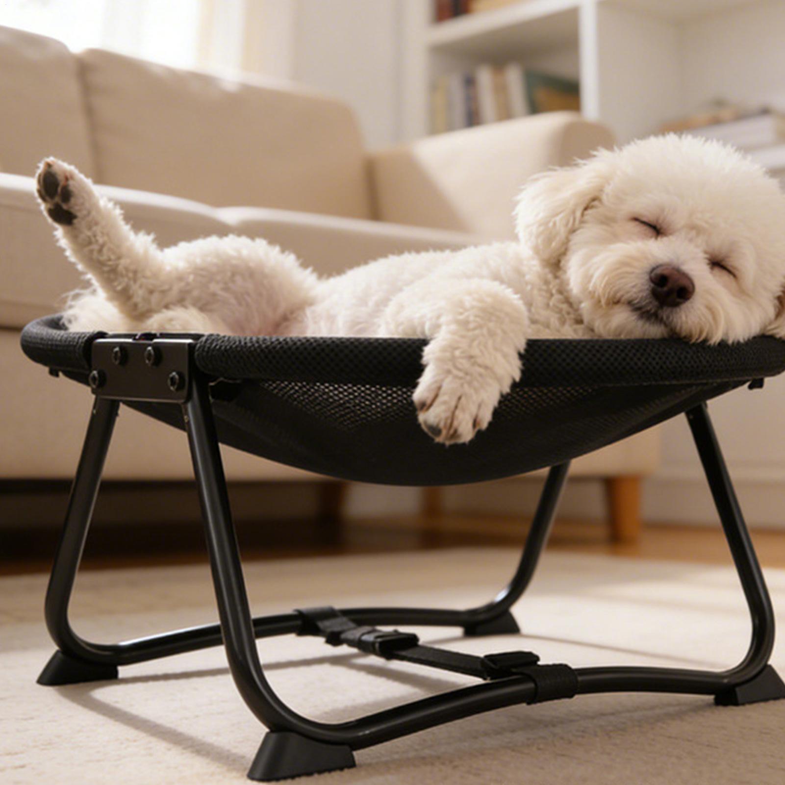 Lit pliant pour chien, hamac d - Outdoor Camping Dog Bed avis et prix