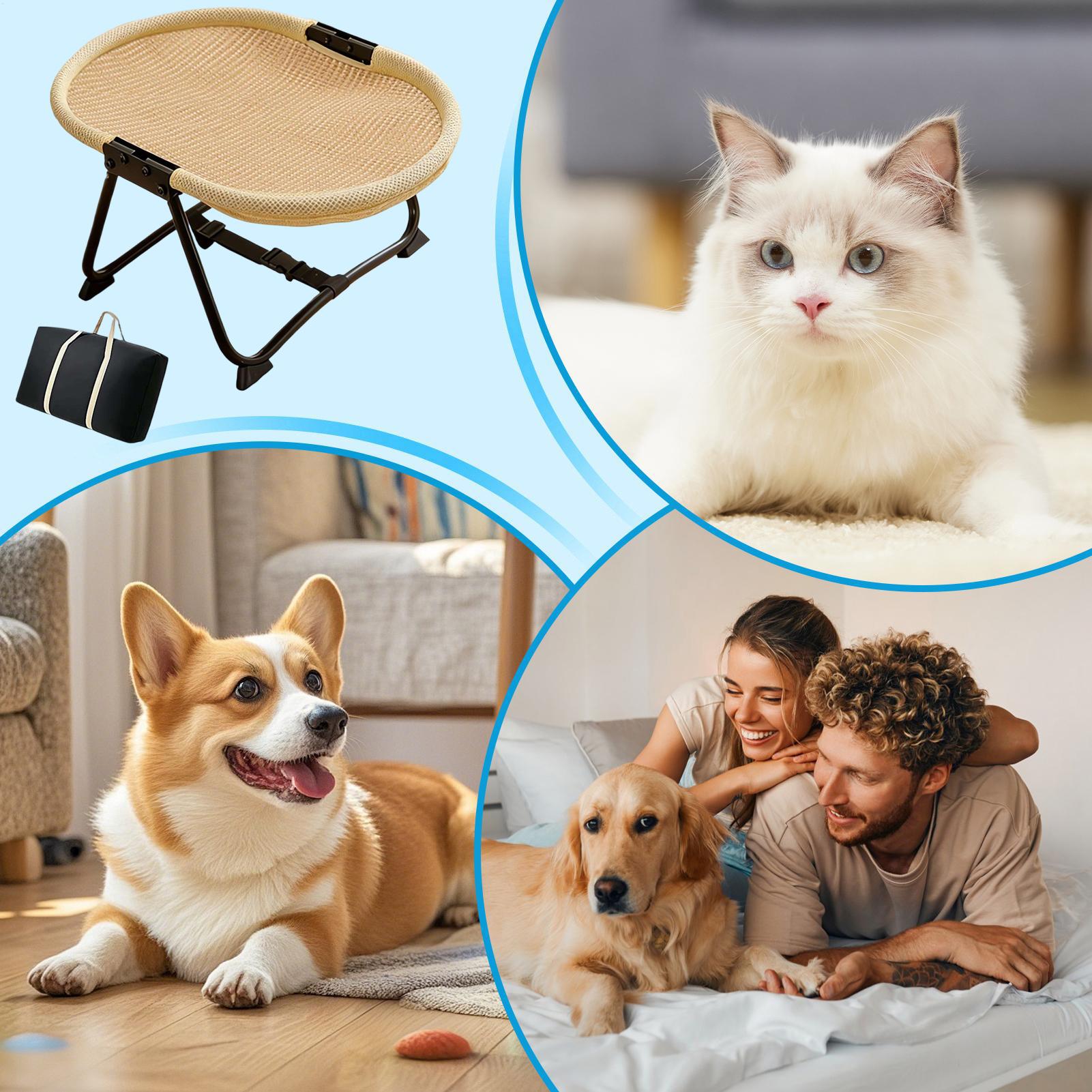 Lit pliant pour chien, hamac d - Outdoor Camping Dog Bed avis et prix