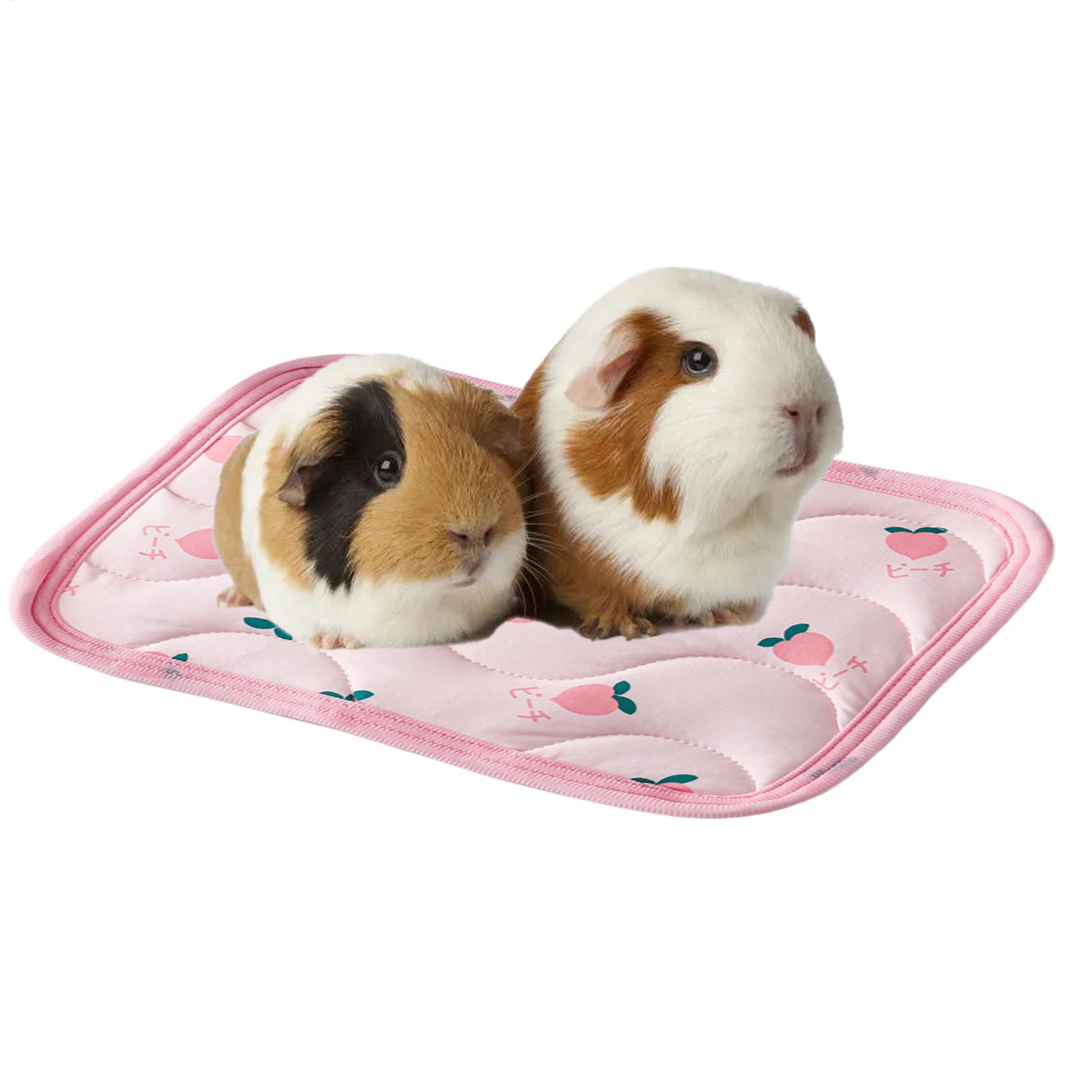 Tapis rafraîchissant pour anim - Outdoor Camping Dog Kennel avis et prix