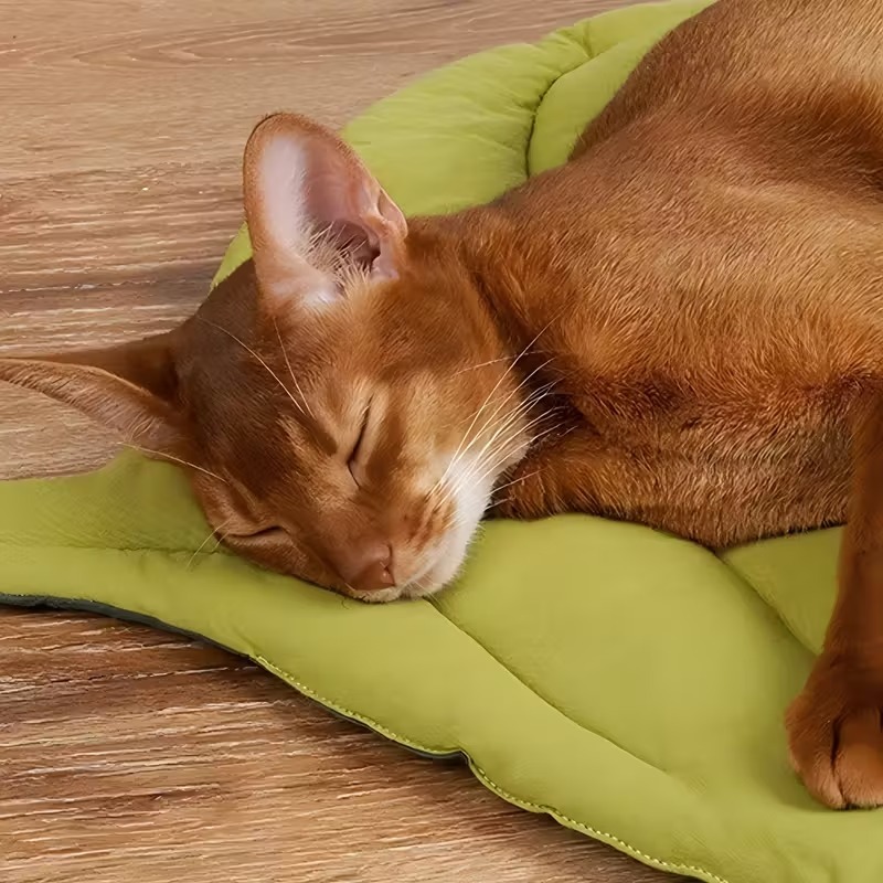 Coussin réversible doux pour a - Outdoor Camping Dog Bed avis et prix