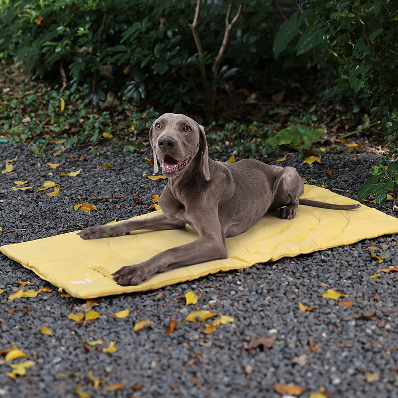 Polymères portables pliables p - Outdoor Camping Dog Kennel avis et prix
