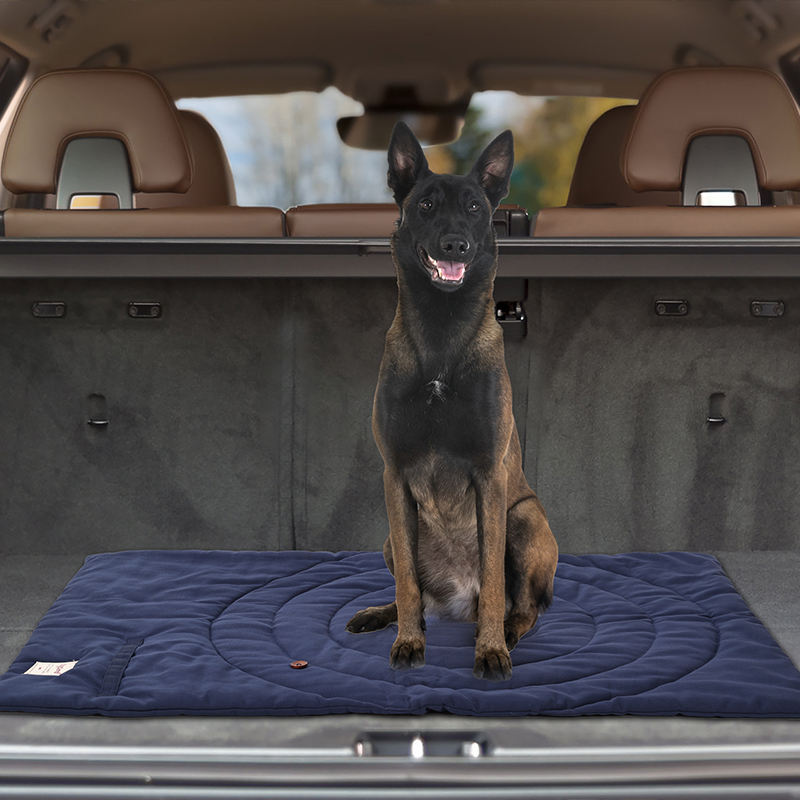 Polymères portables pliables p - Outdoor Camping Dog Kennel avis et prix
