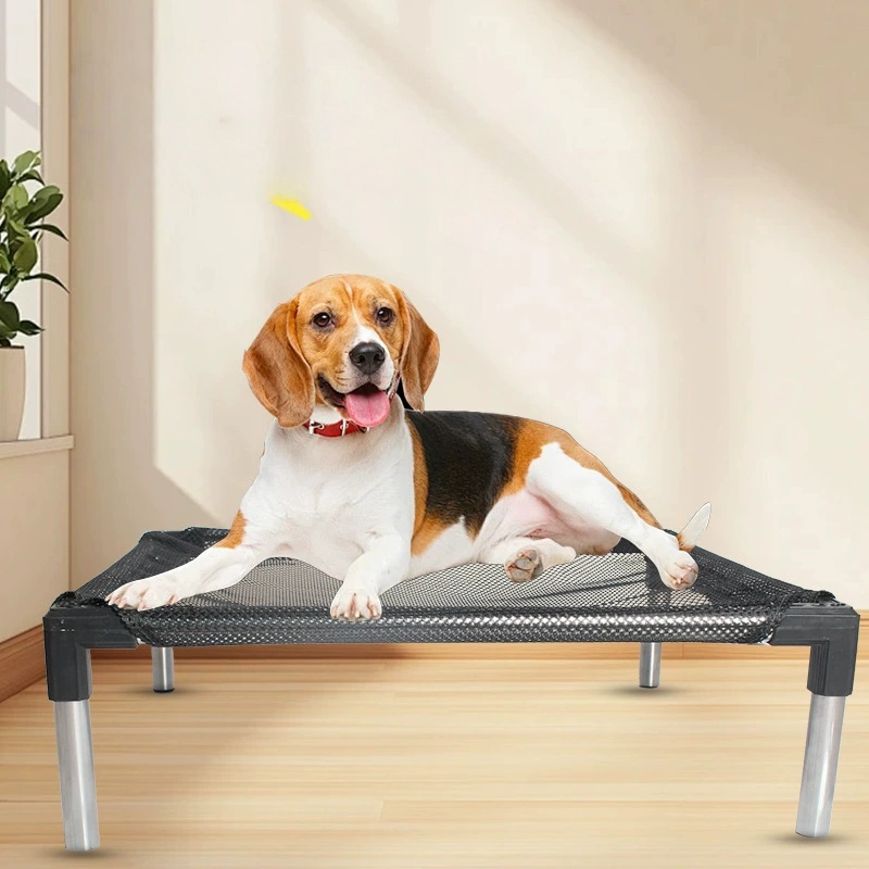 Lit de refroidissement surélev - Outdoor Camping Dog Bed avis et prix