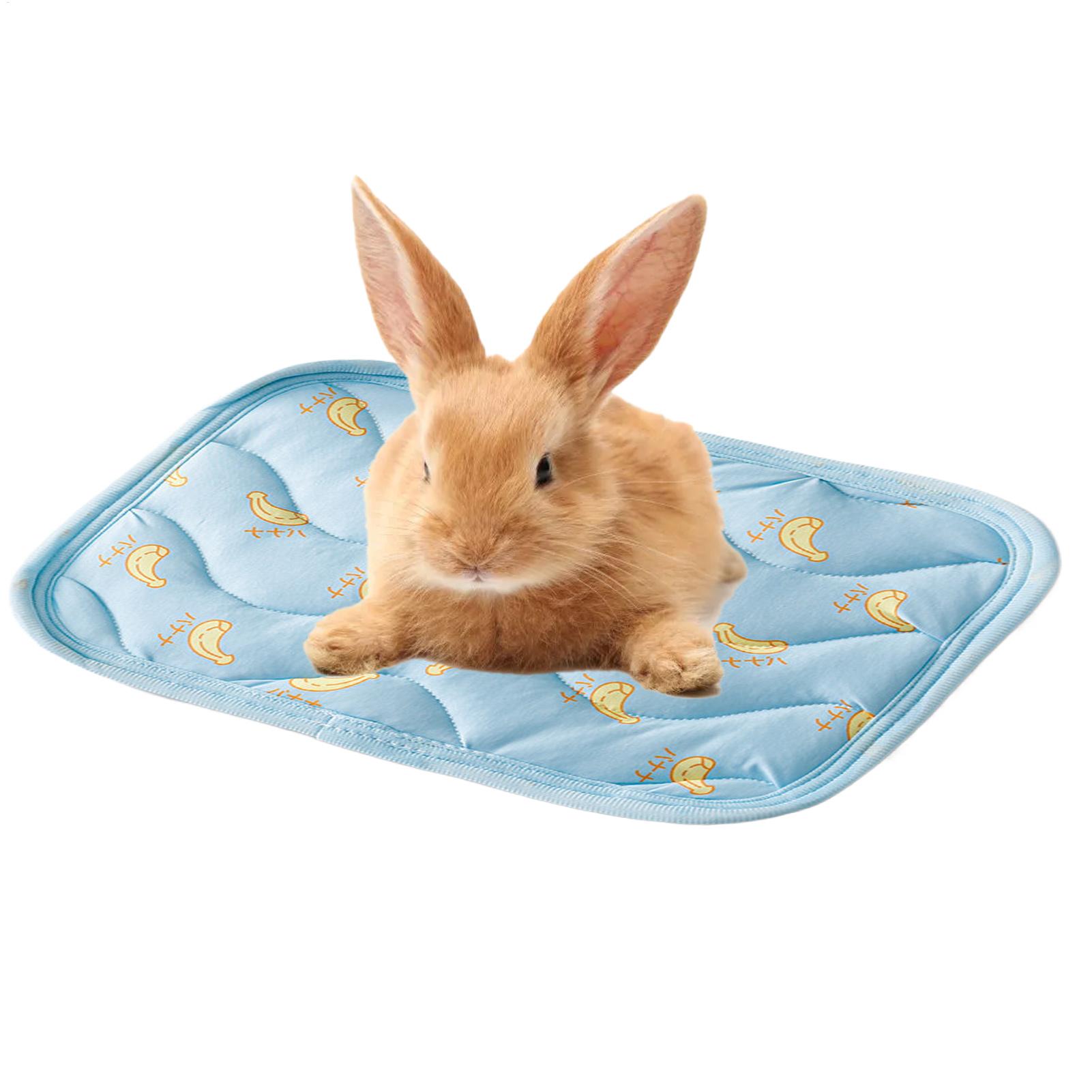 Tapis rafraîchissant portable  - Outdoor Camping Dog Kennel avis et prix