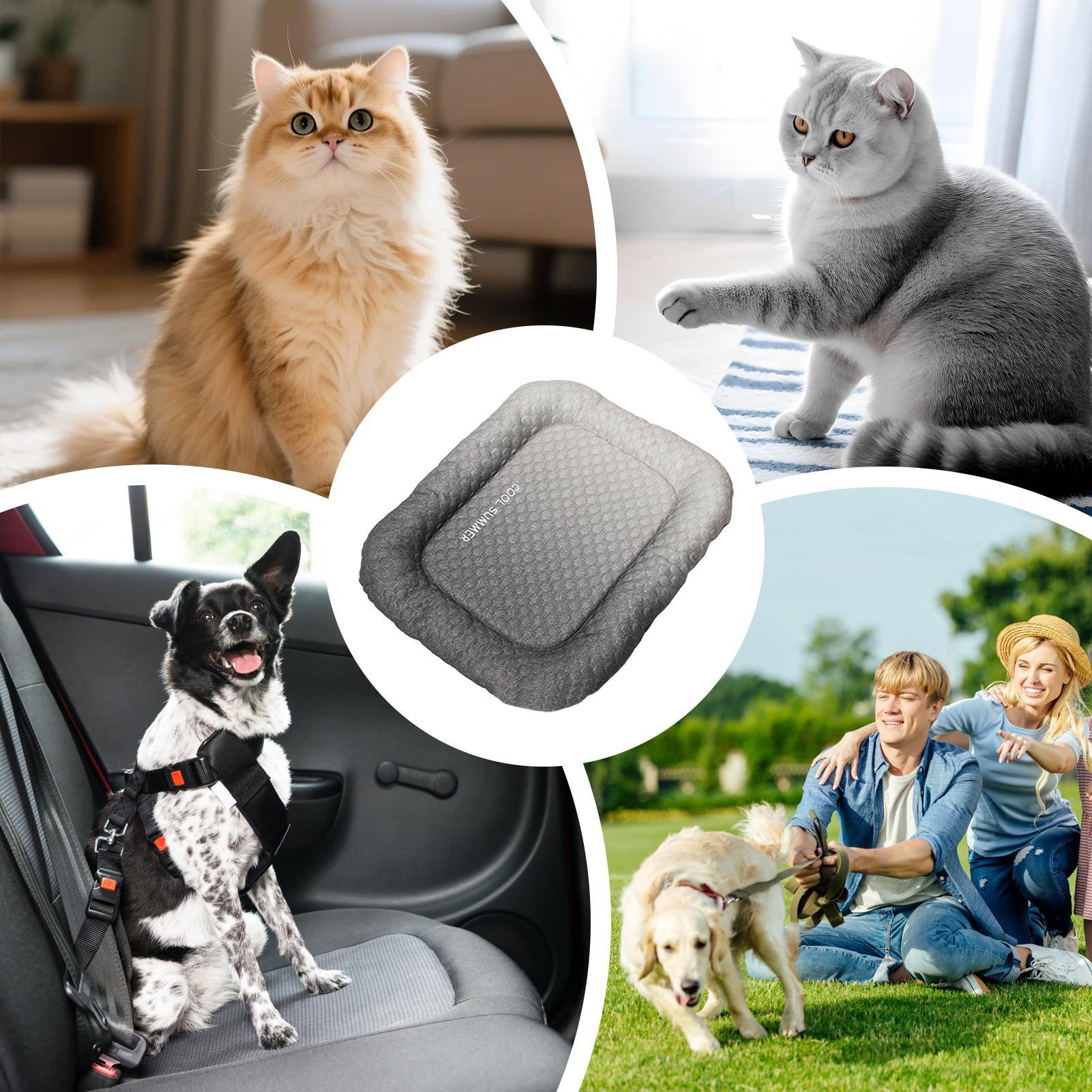 Coussin rafraîchissant portabl - Outdoor Camping Dog Kennel avis et prix